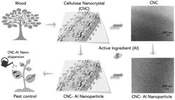 NANO-DISPERSION COMPRISING CELLULOSE NANOCRYSTAL AS PESTICIDE/FUNGICIDE CARRIERS FOR AGRICULTURE AND AQUACULTURE