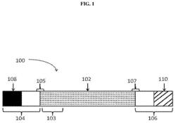 MODIFIED POLYNUCLEOTIDES FOR THE PRODUCTION OF CYTOPLASMIC AND CYTOSKELETAL PROTEINS