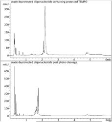 Spin-Labeled Nucleosides and Phosphoramidites