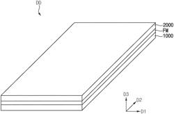 DISPLAY DEVICE