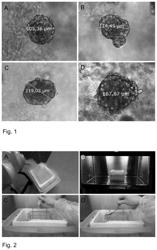 Method for freeze-drying cells in a hydrogel comprising nanofibrillar cellulose and freeze-dried cells in an aerogel comprising nanofibrillar cellulose