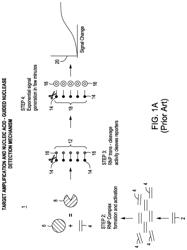 Compositions of matter for detection assays