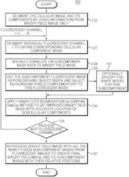 Method to combine brightfield and fluorescent channels for cell image segmentation and morphological analysis using images obtained from imaging flow cytometer (IFC)