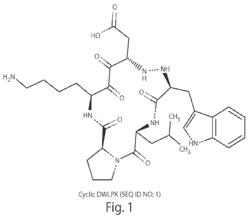 CYCLIC PROSAPOSIN PEPTIDES AND USES THEREOF