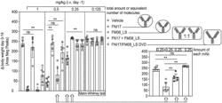 ANTI-INFLUENZA ANTIBODIES AND COMBINATIONS THEREOF