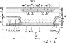 DISPLAY DEVICE AND MANUFACTURING METHOD THEREOF