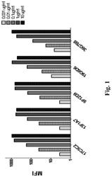 Anti-CD40 antibodies and uses thereof