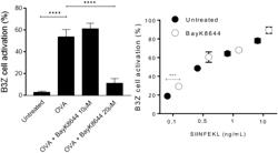 MEANS AND METHODS FOR IMPROVING ANTI-TUMORAL EFFICACY OF TRANSMEMBRANE CHANNEL PROTEIN BLOCKERS