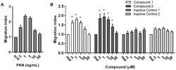 BICYCLIC CX3CR1 RECEPTOR AGONISTS