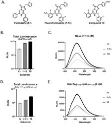 COELENTERAZINE ANALOGUES