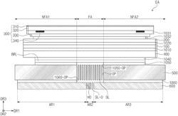 DISPLAY DEVICE