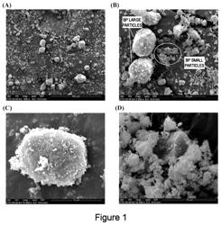 Hydraulic cement composition, process and use