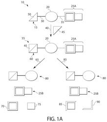 Reagents for quantitative mass spectrometry