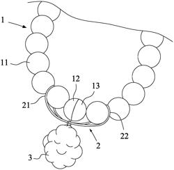 PET COLLAR STRUCTURE