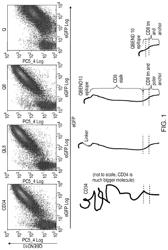 POLYPEPTIDE USEFUL IN ADOPTIVE CELL THERAPY