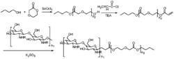 Preparation method of absorbable vascular stent coating for angiostenosis in infant