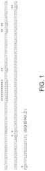 Antigen binding molecules targeting SARS-CoV-2