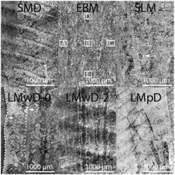 Microstructural homogenization of additively manufactured titanium articles