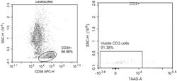 SYSTEMS AND METHODS FOR EXTRACTION AND CRYOPRESERVATION OF BONE MARROW