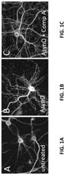 COMPOSITIONS AND METHODS FOR TREATING NEUROLOGIC DISEASES