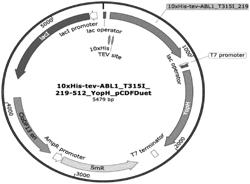 METHODS OF TREATMENT FOR LEUKEMIA