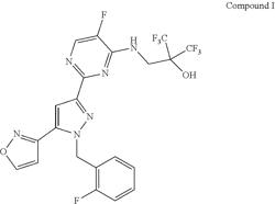 TREATMENT OF DIABETIC NEPHROPATHY WITH AN sGC STIMULATOR