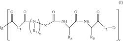 CONJUGATES OF ANTIBODY AND FUNCTIONAL SUBSTANCE OR SALTS THEREOF, AND COMPOUNDS USED IN PRODUCTION OF THE SAME OR SALTS THEREOF