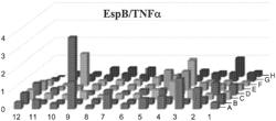 MONOCLONAL ANTIBODY AND USES THEREOF FOR THE TREATMENT AND DIAGNOSIS OF MULTIDRUG-RESISTANT PATHOGENIC BACTERIAL INFECTIONS