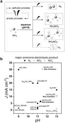 Electrochemical Methods and Systems for Oxidation of Nitrogenous Compounds