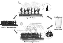 Structured hydrogel membranes for fresh water harvesting