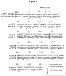 Modified FGF-21 polypeptides with non-naturally encoded amino acids