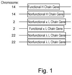 Compositions and methods for modified b cells expressing reassigned biological agents