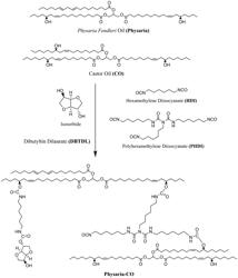 Bio-based coatings and adhesives using oils of