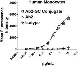 HUMAN CD33 ANTIBODIES AND GLUCOCORTICOID CONJUGATES