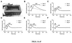 STORAGE SOLUTIONS FOR MAINTAINING OF AXONAL VIABILITY