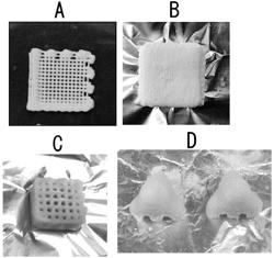 BIOINK, MOLDED BODY, ARTICLE, AND METHOD FOR PRODUCING MOLDED BODY