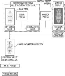 COLOR MANAGEMENT APPARATUS, COLOR MANAGEMENT METHOD, AND PROGRAM