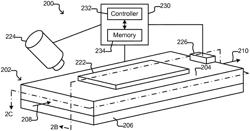 Micro-fluidic devices for assaying biological activity