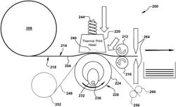 Enhanced speed thermal printer