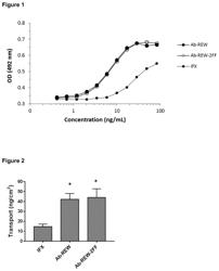 Antibody variants