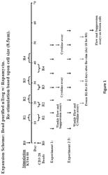 Methods to Expand a T Regulatory Cell Master Cell Bank