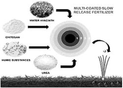 Nitrogen activator stabilizer for reducing and protecting nitrogen fertilizer