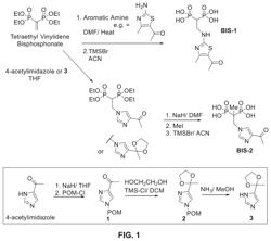 CD206 targeted drug delivery vehicles carrying novel bisphosphonate drug payloads via a degradable linker