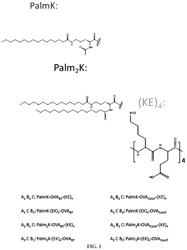 Triblock peptide amphiphiles, micelles and methods of use