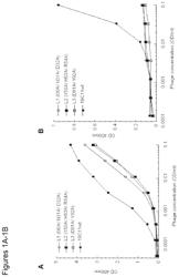 Dual specific antibodies for binding interleukin 4 (IL4) and interleukin 5 (IL5)