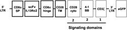 IL-13RA2 CHIMERIC ANTIGEN RECEPTORS AND METHODS OF USE