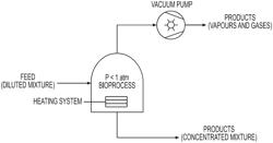 METHODS AND SYSTEMS FOR TREATING FLUID USING A BIOCHEMICAL PROCESS UNDER VACUUM PRESSURE