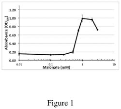 RECOMBINANT HOST CELLS FOR THE PRODUCTION OF MALONATE