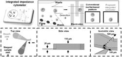 METHOD FOR LABEL-FREE CELL ACTIVATION PROFILING USING MICROFLUIDIC IMPEDANCE CYTOMETRY