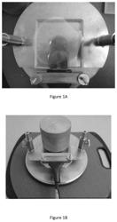 Plant-based compositions for the protection of plants from cold damage